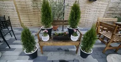 Augusztus 20. (min. 5 �j)