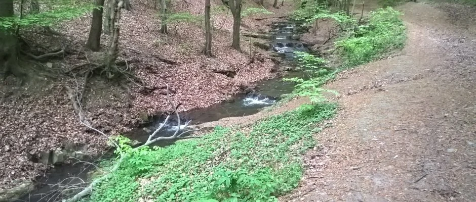 Tókert Fogadó Nagymányok