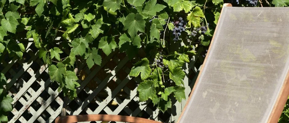 Torncos Vendghz Krshegy