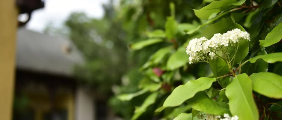 Torncos Vendghz Krshegy