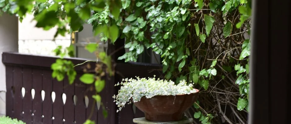 Torncos Vendghz Krshegy