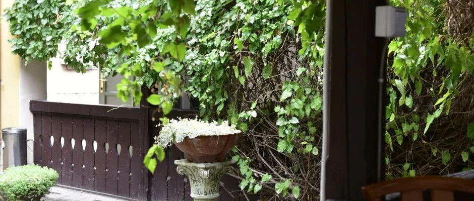 Torncos Vendghz Krshegy