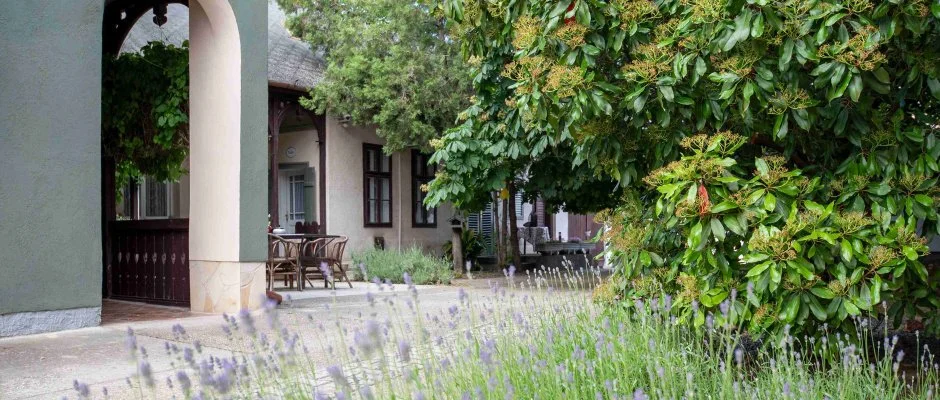 Torncos Vendghz Krshegy