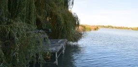 T�csi lak - M�jus 1.