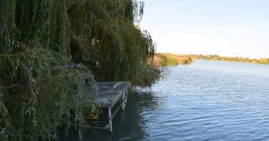 M�jus 1. (min. 2 �j)