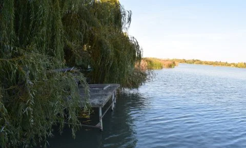 Tücsi lak Szigetszentmárton - Május 1.