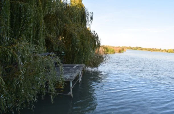 Tücsi lak Szigetszentmárton Tücsi lak Szigetszentmárton