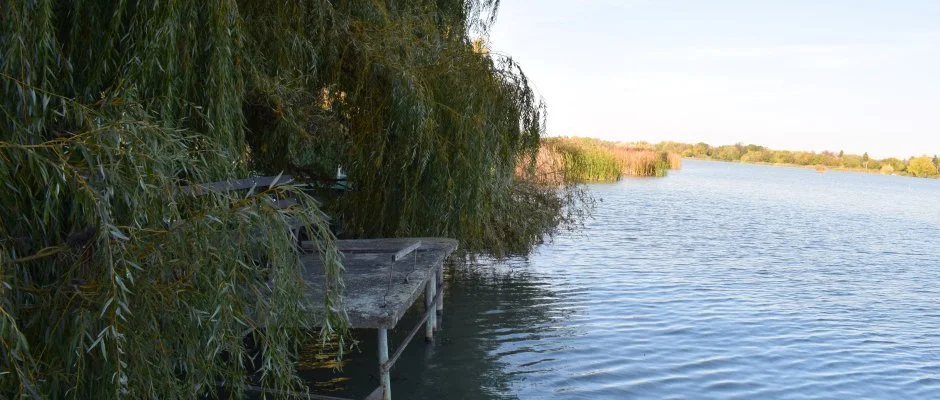 T�csi lak Szigetszentm�rton