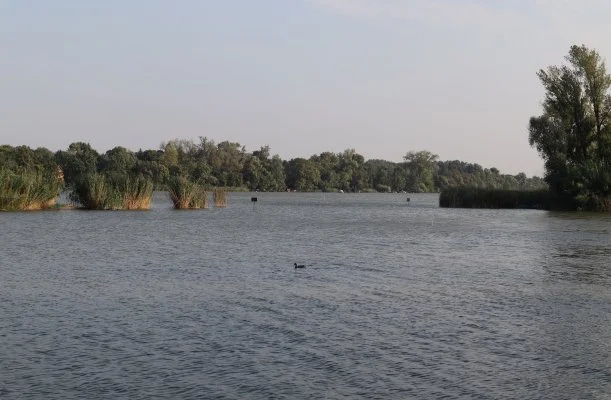 Tücsi lak Szigetszentmárton Tücsi lak Szigetszentmárton