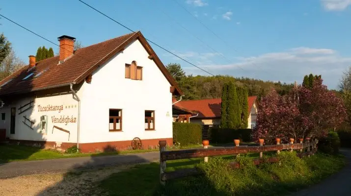 Tcsktanya Vendghz Ktvlgy