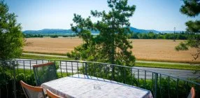 Tulip�n Vend�gh�z - Napi �rak