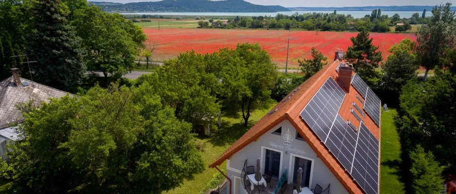 Tulipn Vendghz rvnyes