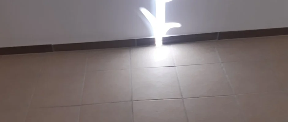 Tulip�nos Vend�gh�z �r