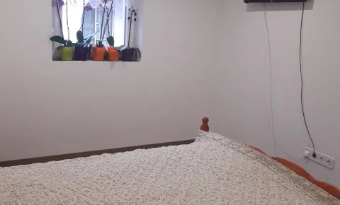 Tulipános Vendégház ?r - Augusztus 20.