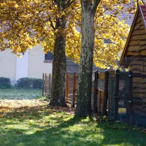  Sárvár - Május 1.