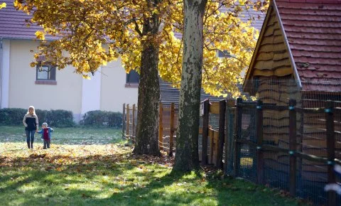 Vadkert Major Sárvár - Május 1.