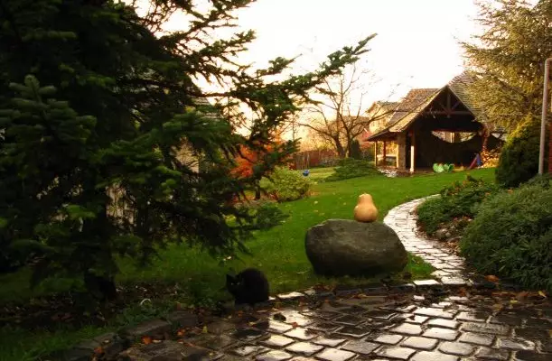 Vadrózsa Vendégház Szentendre Vadrózsa Vendégház Szentendre
