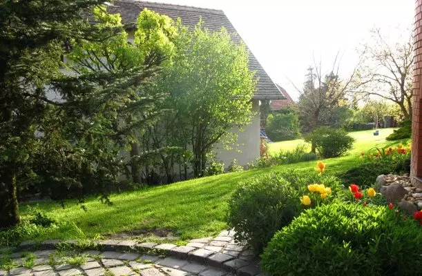 Vadrózsa Vendégház Szentendre Vadrózsa Vendégház Szentendre