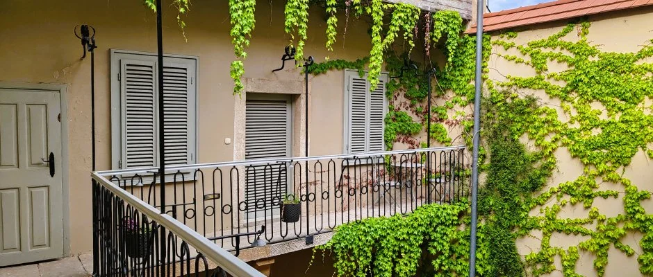 Vrosi Vendghz Szentendre