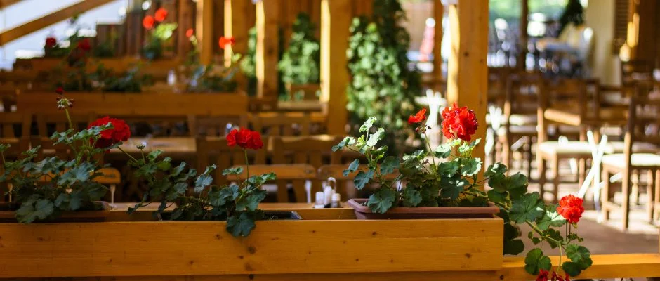 Viktor Bor- s Vendghz Balatonmriafrd