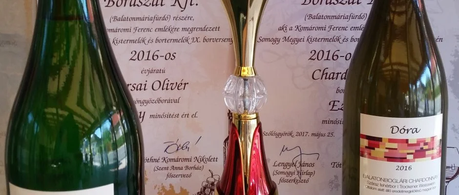 Viktor Bor- s Vendghz Balatonmriafrd