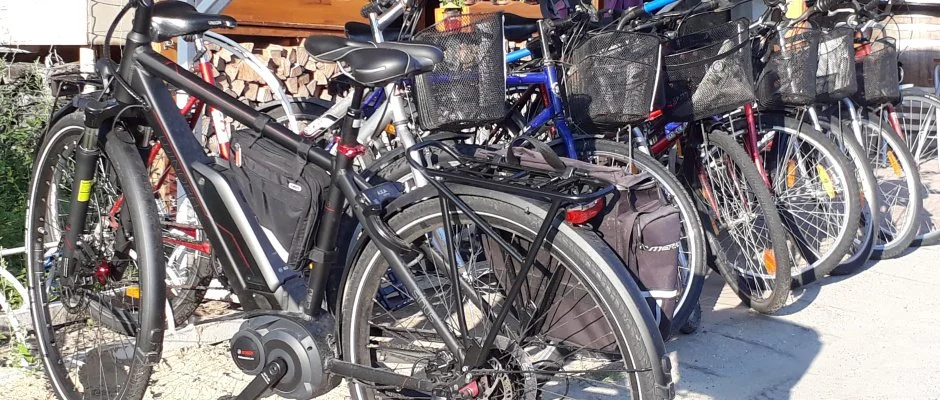 Viktor Bor- s Vendghz Balatonmriafrd