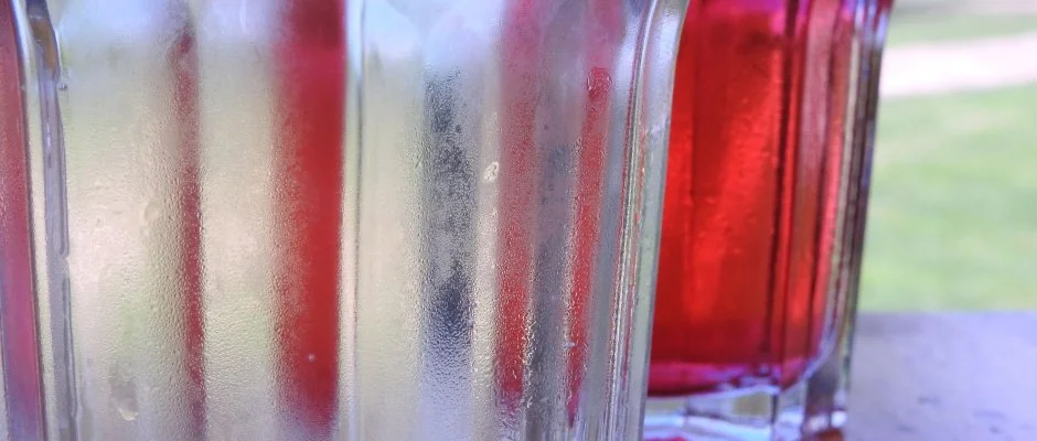 Viktor Bor- s Vendghz Balatonmriafrd