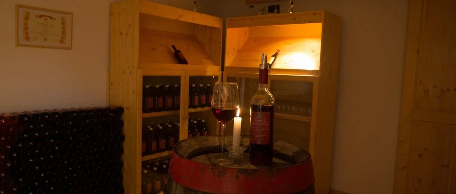 Viktor Bor- s Vendghz Balatonmriafrd