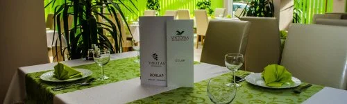 Wellness Hotel Viktória