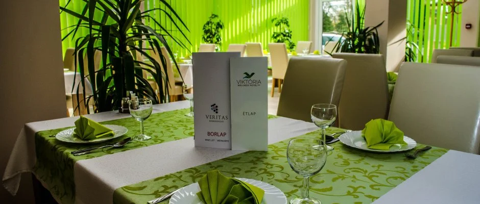 Wellness Hotel Viktria Nagyatd
