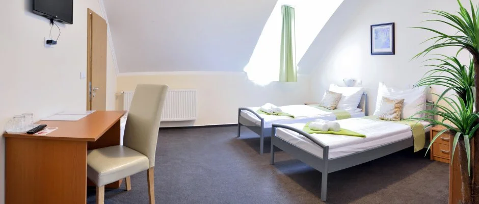 Wellness Hotel Viktria Nagyatd