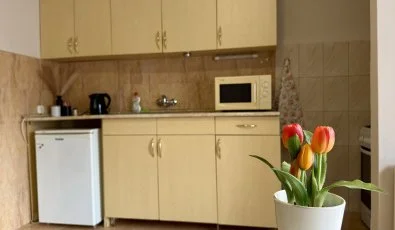 Vintage Apartman Gyula