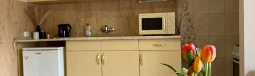 Vintage Apartman Gyula