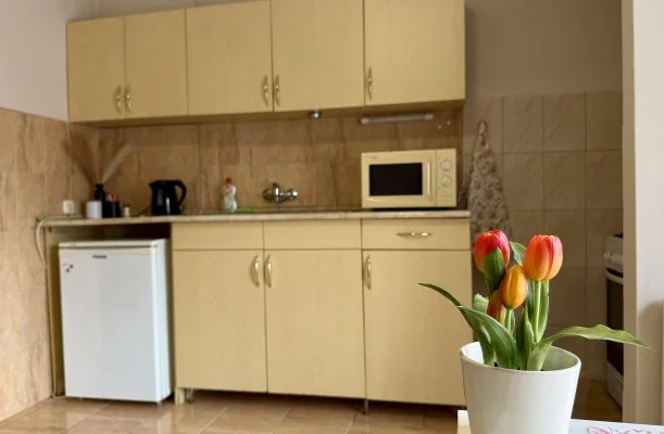 Vintage Apartman Gyula