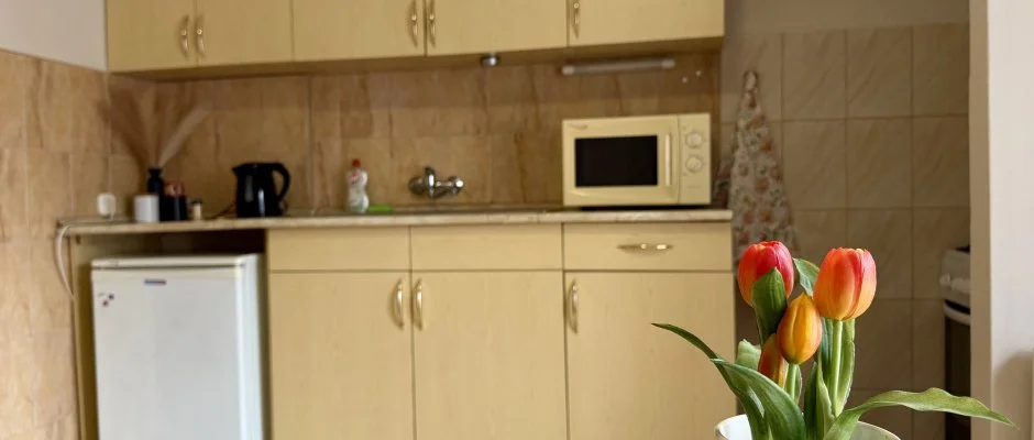 Vintage Apartman Gyula