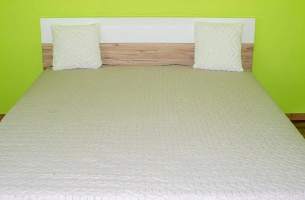 Virág Üdülőház Szarvas