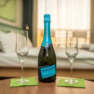  Gárdony - Tóparti felfrissülés (1 éjtől)