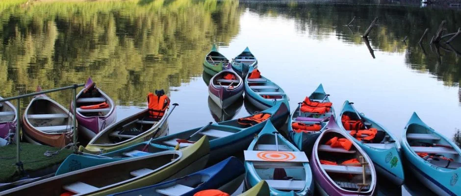 Vrs lom Apartman Panzi Tiszakcske