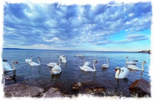 Világos Hotel Balatonvilágos Világos Hotel Balatonvilágos
