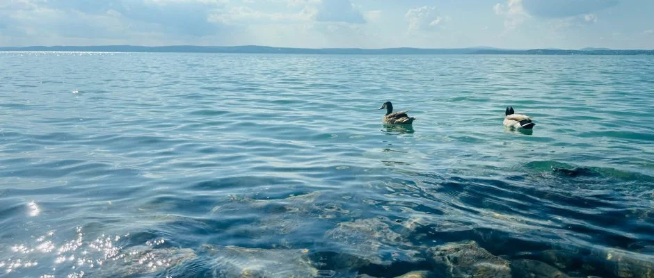 Vil�gos Hotel Balatonvil�gos