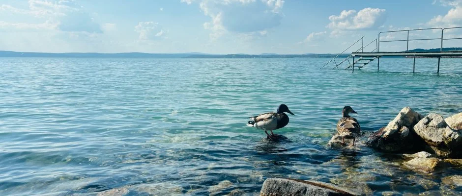 Vil�gos Hotel Balatonvil�gos