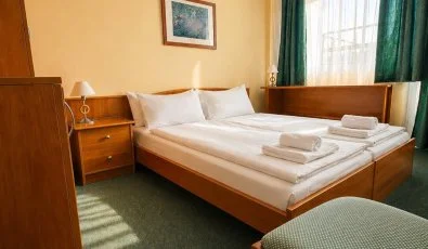 Vil�gos Hotel Balatonvil�gos