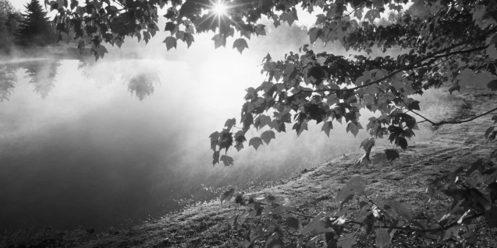 Waterfront Lodge Dunapataj