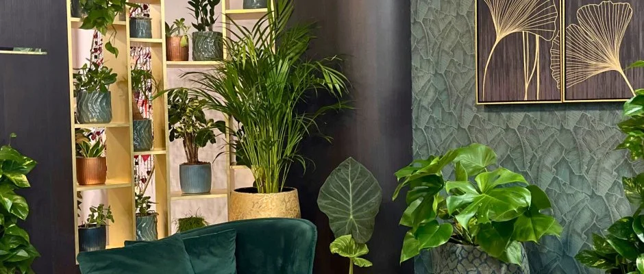 Hotel Wellamarin Zamrdi