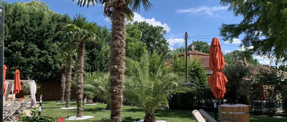 Wellness Hotel Gyula