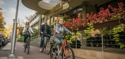 Wellness Hotel Gyula Gyula