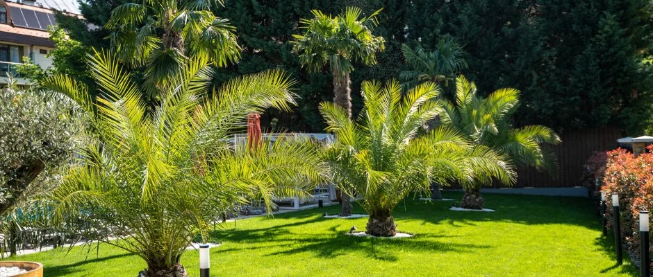 Wellness Hotel Gyula