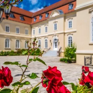  Szilvásvárad - Early bird ár félpanzióval (1 éjtől)