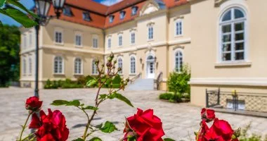 Early bird r flpanzival (1 jtl)