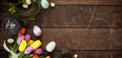 Willis Hotel Business & Wellness Zalaegerszeg - Wellness csomagok hsvtra